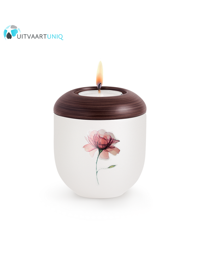 Mini urn Parlemoer roos – met lichtje