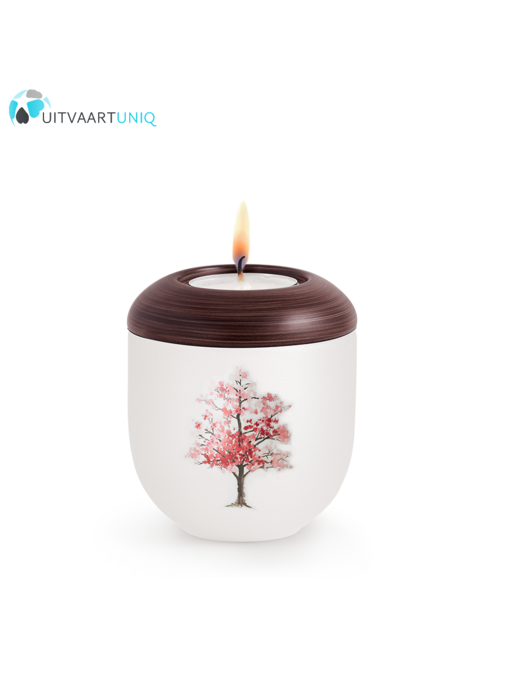 Mini urn Parlemoer  kersebloesem – met lichtje