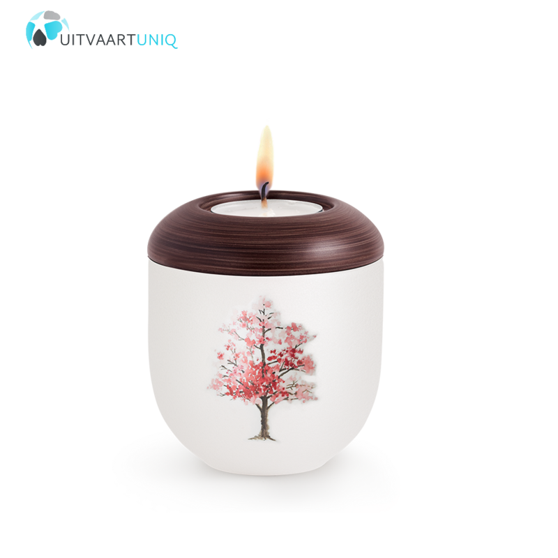 Mini urn Parlemoer  kersebloesem – met lichtje