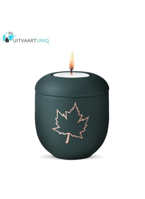 Mini urn esdoorn blad – met lichtje