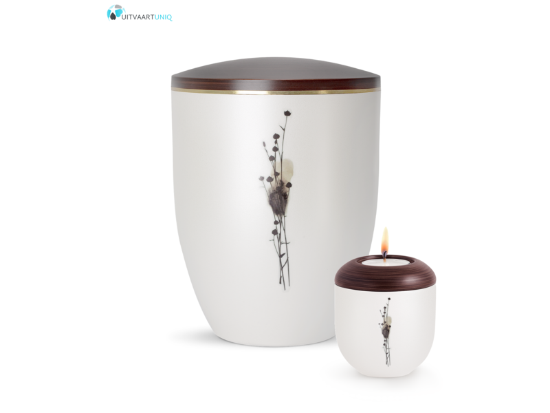 Mini urn Parlemoer droogbloemen – met lichtje