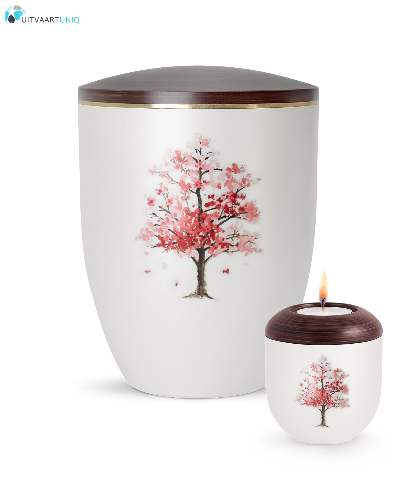  Urn Parlemoer kersebloesem - bio