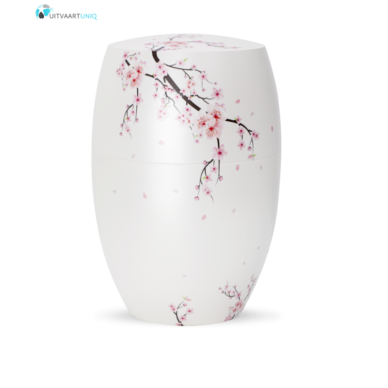 Urn glanzend wit  kersenbloesem - bio