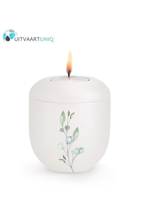 Mini Urn wit  eucalyptus - met lichtje