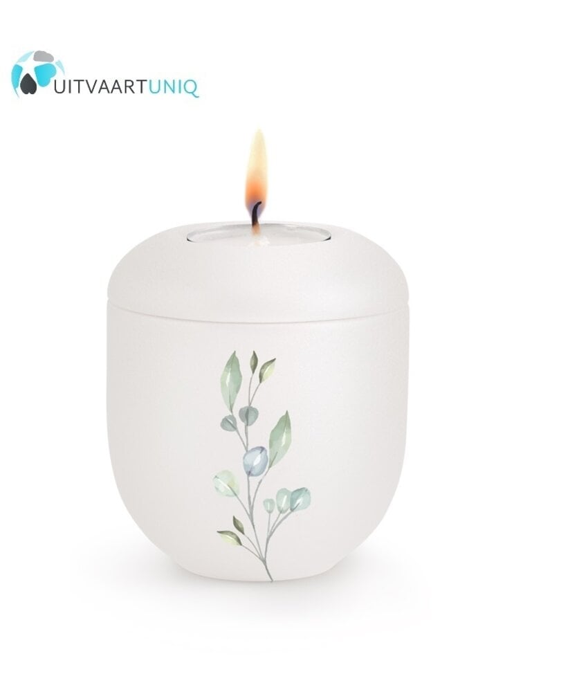 Mini Urn wit  eucalyptus - met lichtje