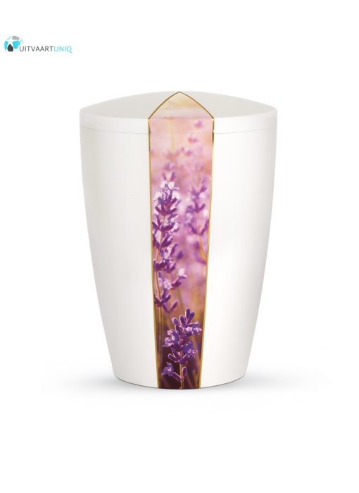 Urn wit parlemoer lavendel  - bio