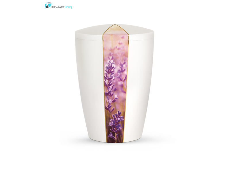 Urn wit parlemoer lavendel  - bio