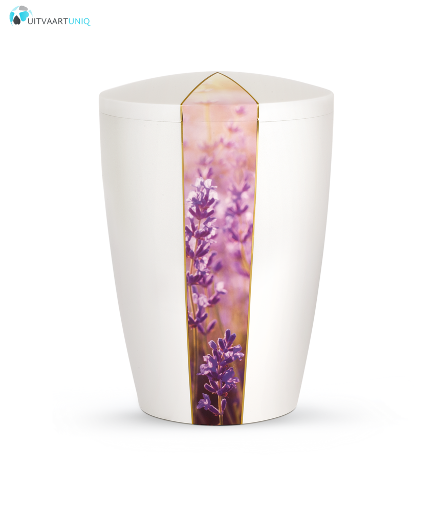 Urn wit parlemoer lavendel  - bio