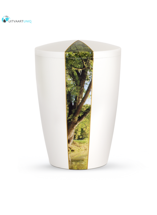 Urn wit parlemoer boom - bio