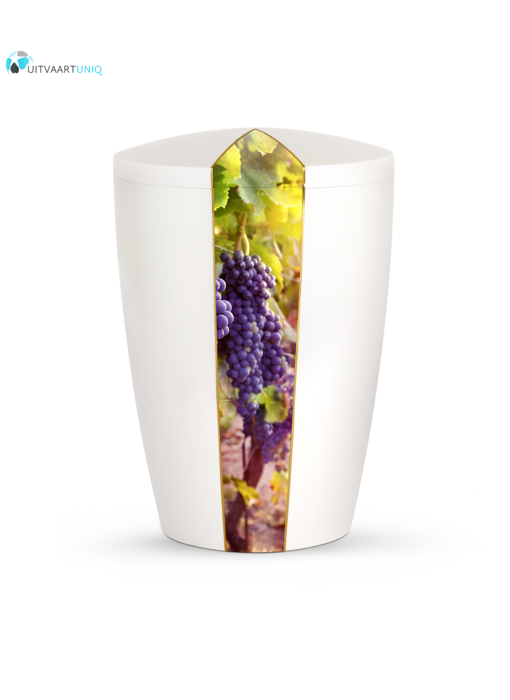 Urn wit parlemoer wijnstok  - bio
