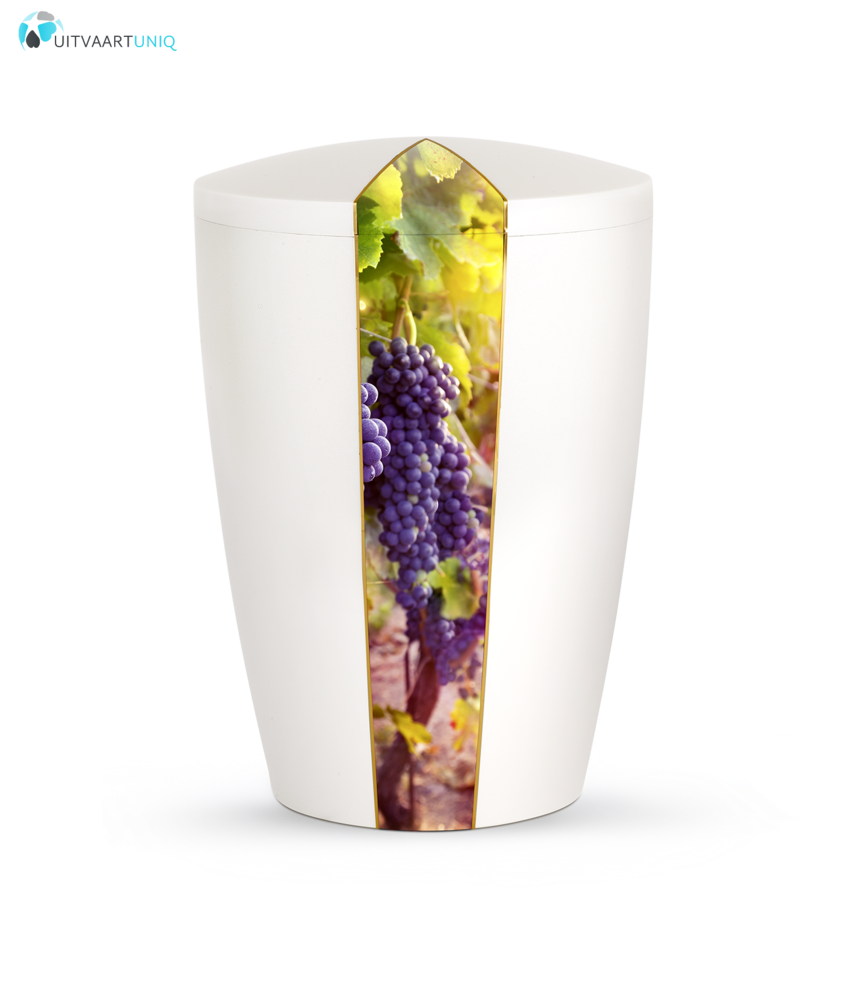 Urn wit parlemoer wijnstok  - bio