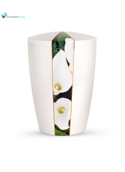 Urn wit parlemoer calla  - bio