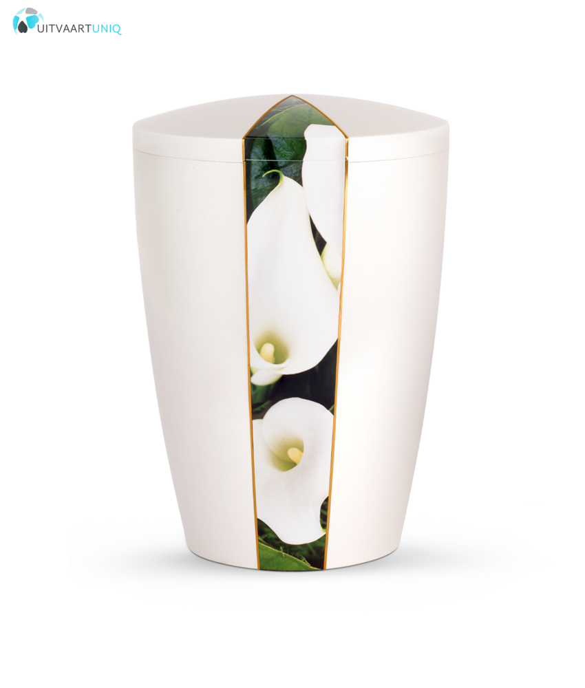 Urn wit parlemoer calla  - bio