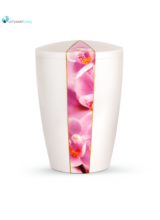 Urn wit parlemoer orchidee - bio