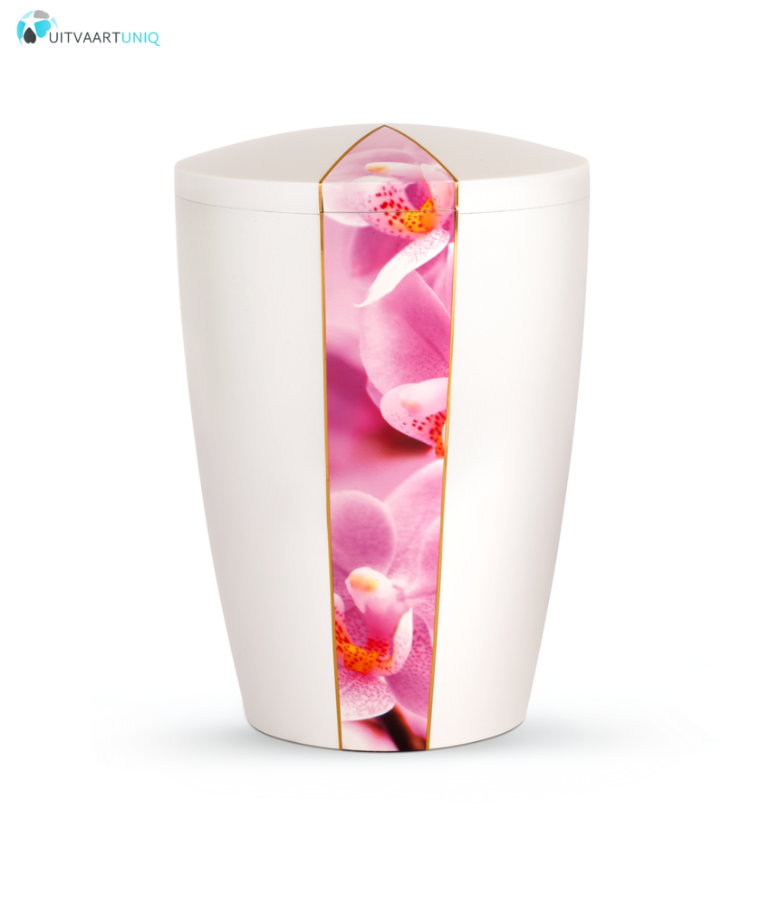 Urn wit parlemoer orchidee - bio