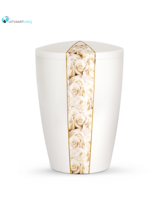 Urn wit parlemoer witte rozen - bio