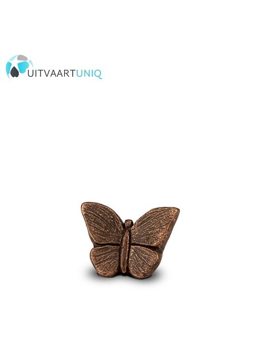 vlinder urn brons mini