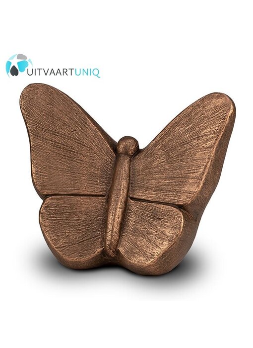 Vlinder urn brons groot