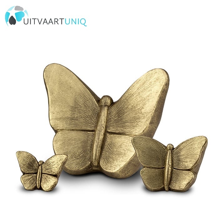  vlinder urn goud middel