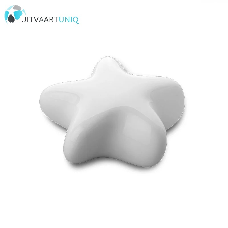  Keramische mini ster urn wit keepsake Asteri