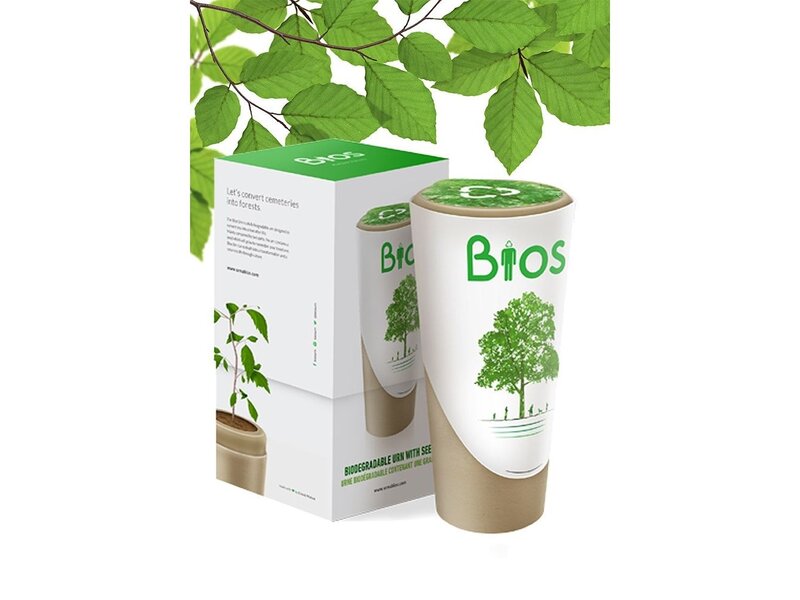 BIOS URN - Beuk