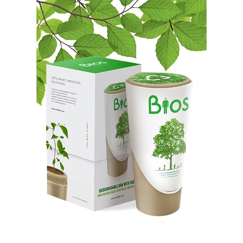 BIOS URN - Beuk