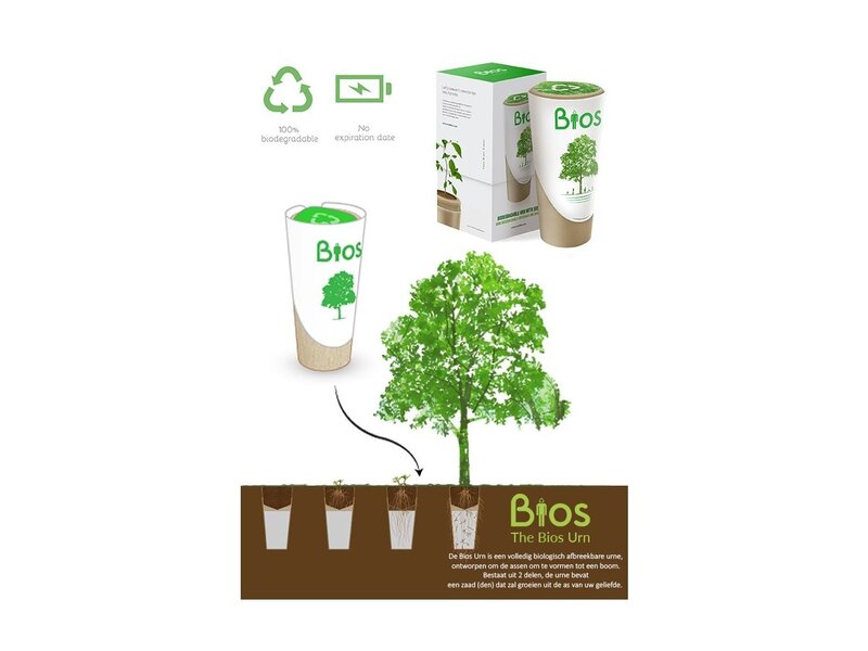 BIOS URN - Eik
