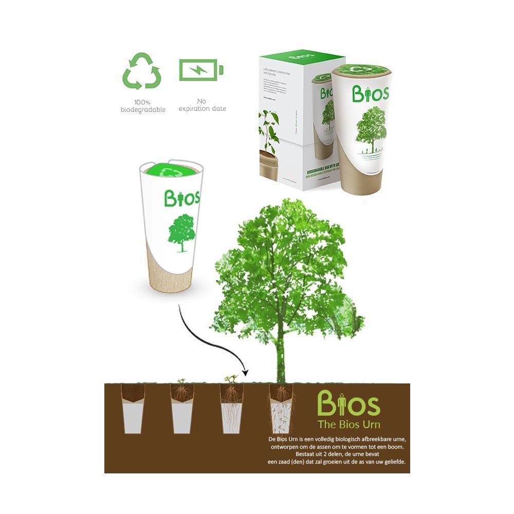  BIOS URN - Eik