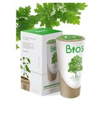 BIOS URN - Eik