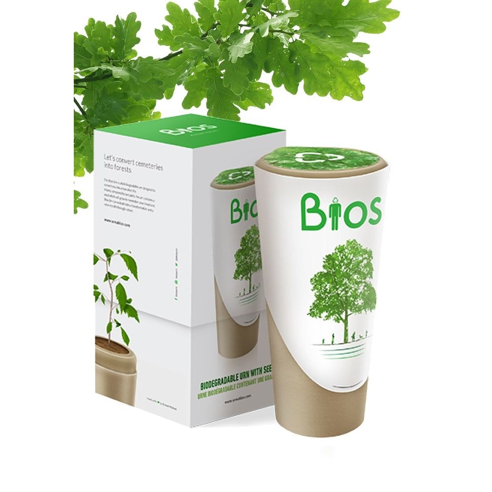  BIOS URN - Eik