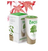 BIOS URN - Esdoorn