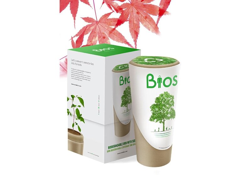 BIOS URN - Esdoorn