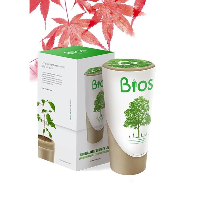 BIOS URN - Esdoorn