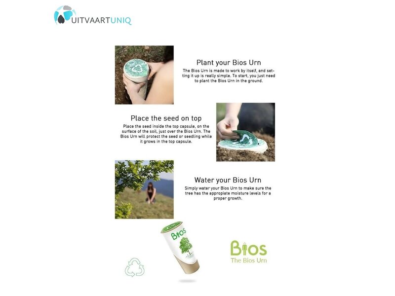 BIOS URN - Eik
