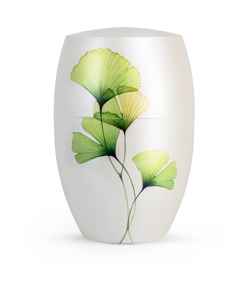 Biologisch Afbreekbare Urn Ginkgo Bladeren