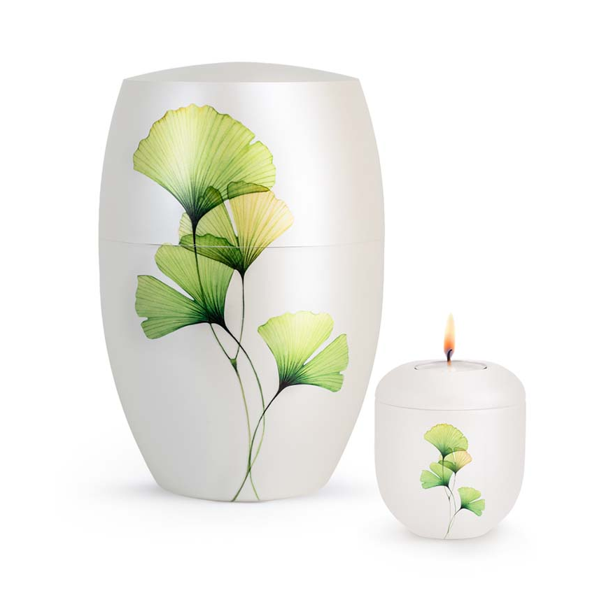  Biologisch Afbreekbare Urn Ginkgo Bladeren