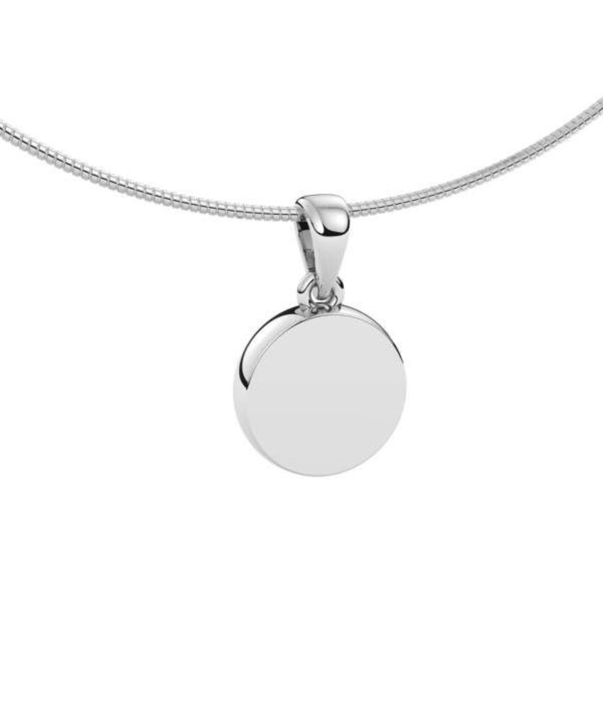 Ashanger disk - zilver