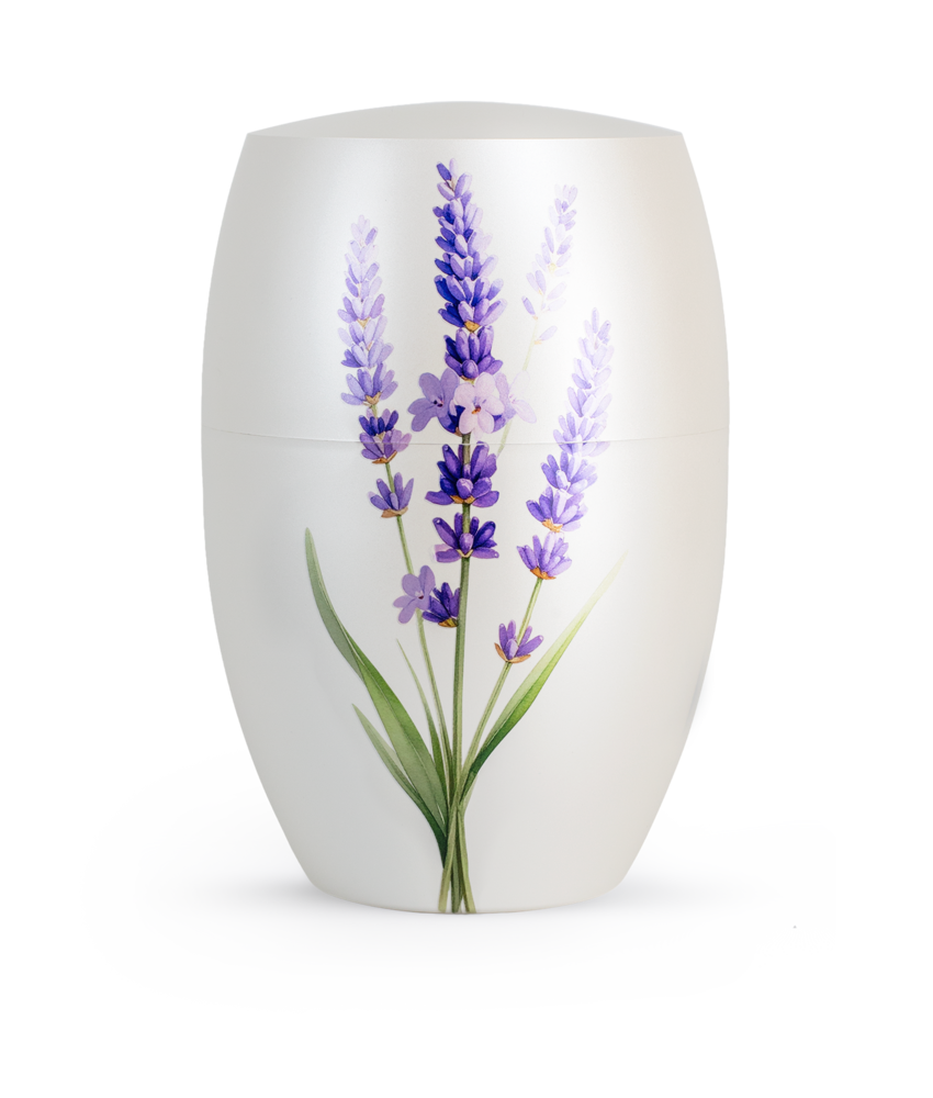 Biologisch Afbreekbare Urn Lavendel