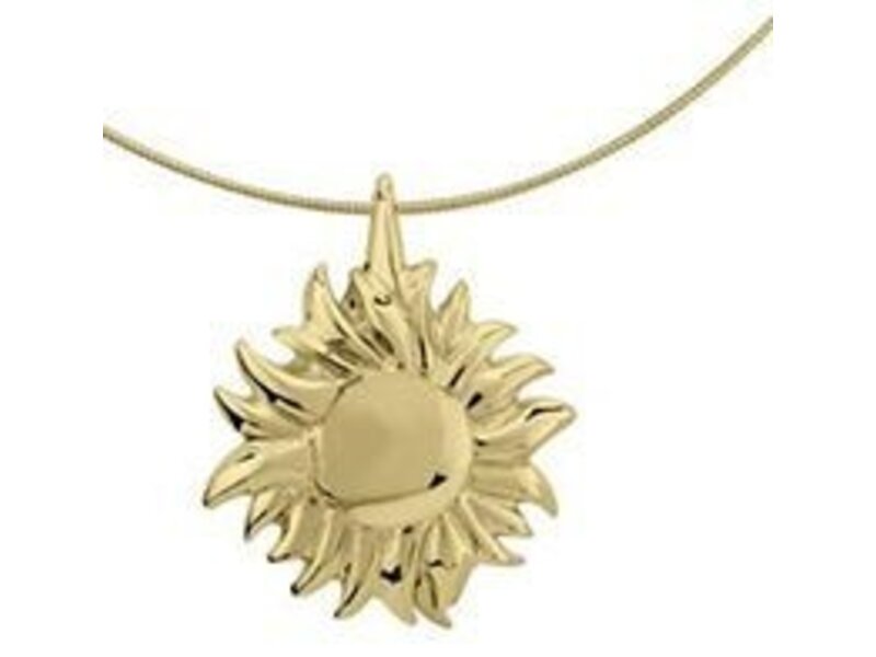 Asmedaillon zon - goud
