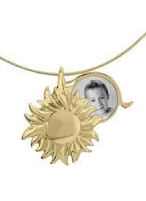 Asmedaillon zon - goud