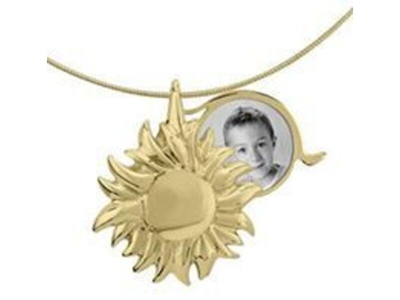 Asmedaillon zon - goud