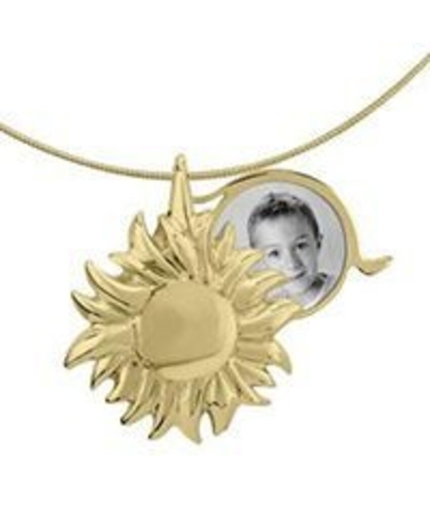 Asmedaillon zon - goud