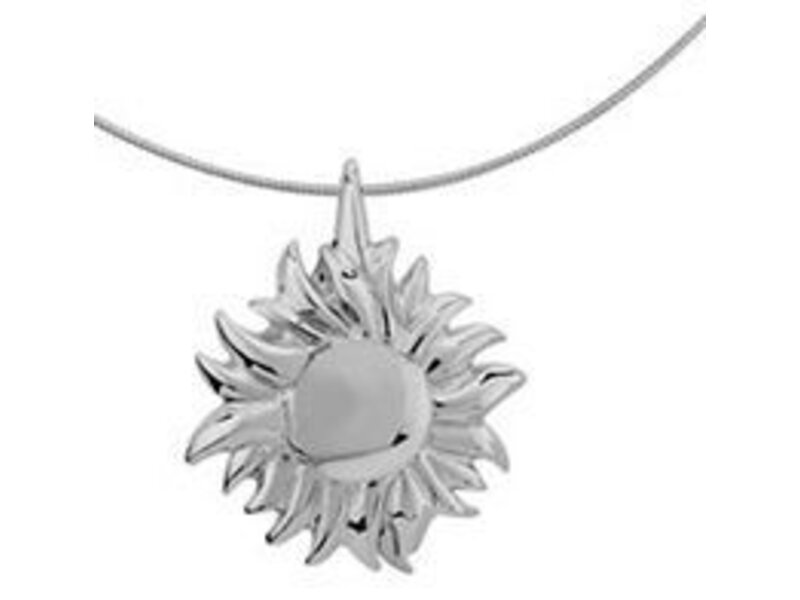 Asmedaillon zon - zilver