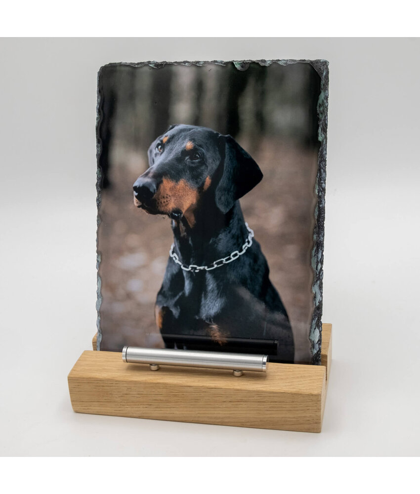 Rechthoekige Gedenktegel staand van Leisteen voor Huisdieren – Herinner je Huisdier met Foto en Tekst