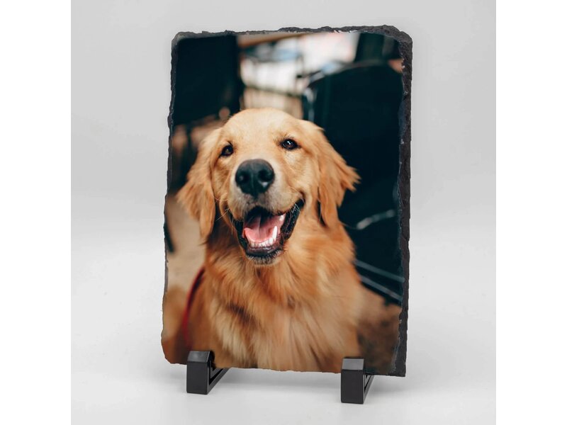 Rechthoekige Gedenktegel van Leisteen voor Huisdieren – Herinner je Huisdier met Foto en Tekst