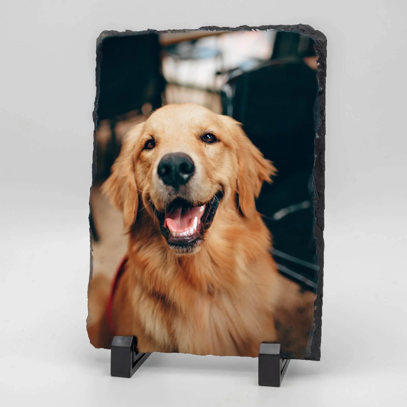  Rechthoekige Gedenktegel van Leisteen voor Huisdieren – Herinner je Huisdier met Foto en Tekst