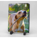 Rechthoekige Gedenktegel van Leisteen voor Huisdieren – Herinner je Huisdier met Foto en Tekst