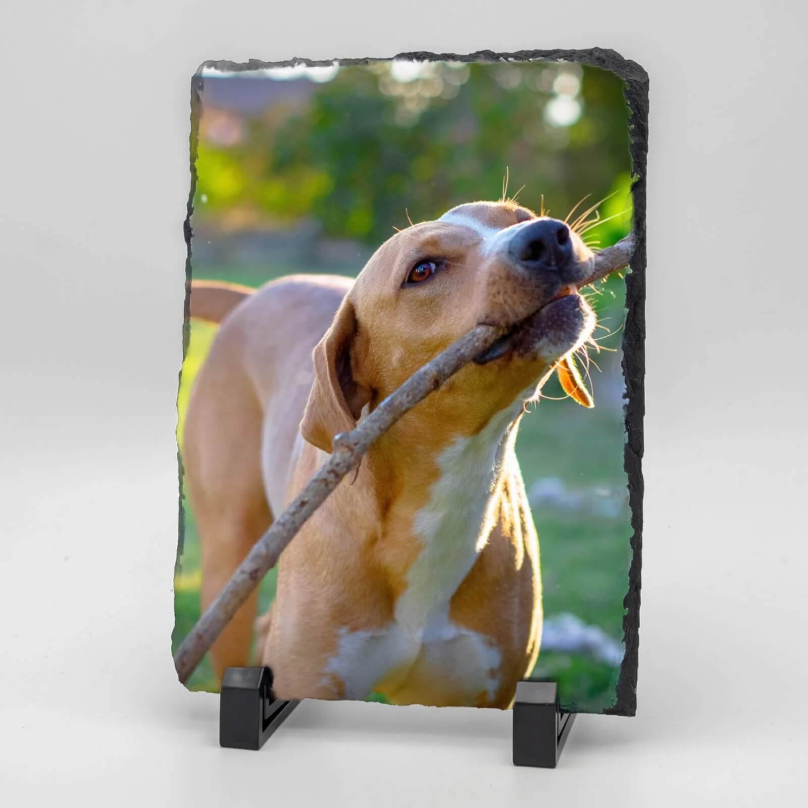  Rechthoekige Gedenktegel van Leisteen voor Huisdieren – Herinner je Huisdier met Foto en Tekst