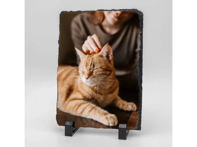 Rechthoekige Gedenktegel van Leisteen voor Huisdieren – Herinner je Huisdier met Foto en Tekst