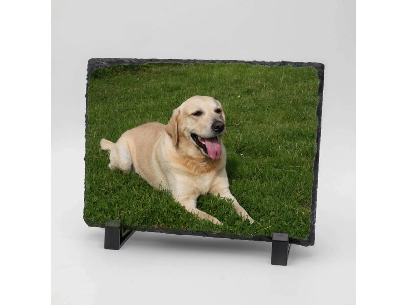 Rechthoekige Gedenktegel liggend van Leisteen voor Huisdieren – Herinner je Huisdier met Foto en Tekst